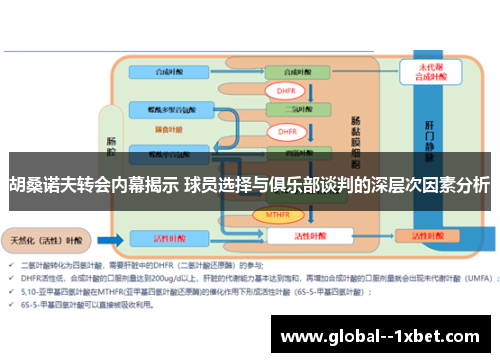 胡桑诺夫转会内幕揭示 球员选择与俱乐部谈判的深层次因素分析 胡桑诺夫转会内幕揭示 球员选择与俱乐部谈判的深层次因素分析