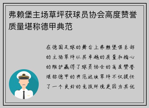 弗赖堡主场草坪获球员协会高度赞誉质量堪称德甲典范 弗赖堡主场草坪获球员协会高度赞誉质量堪称德甲典范